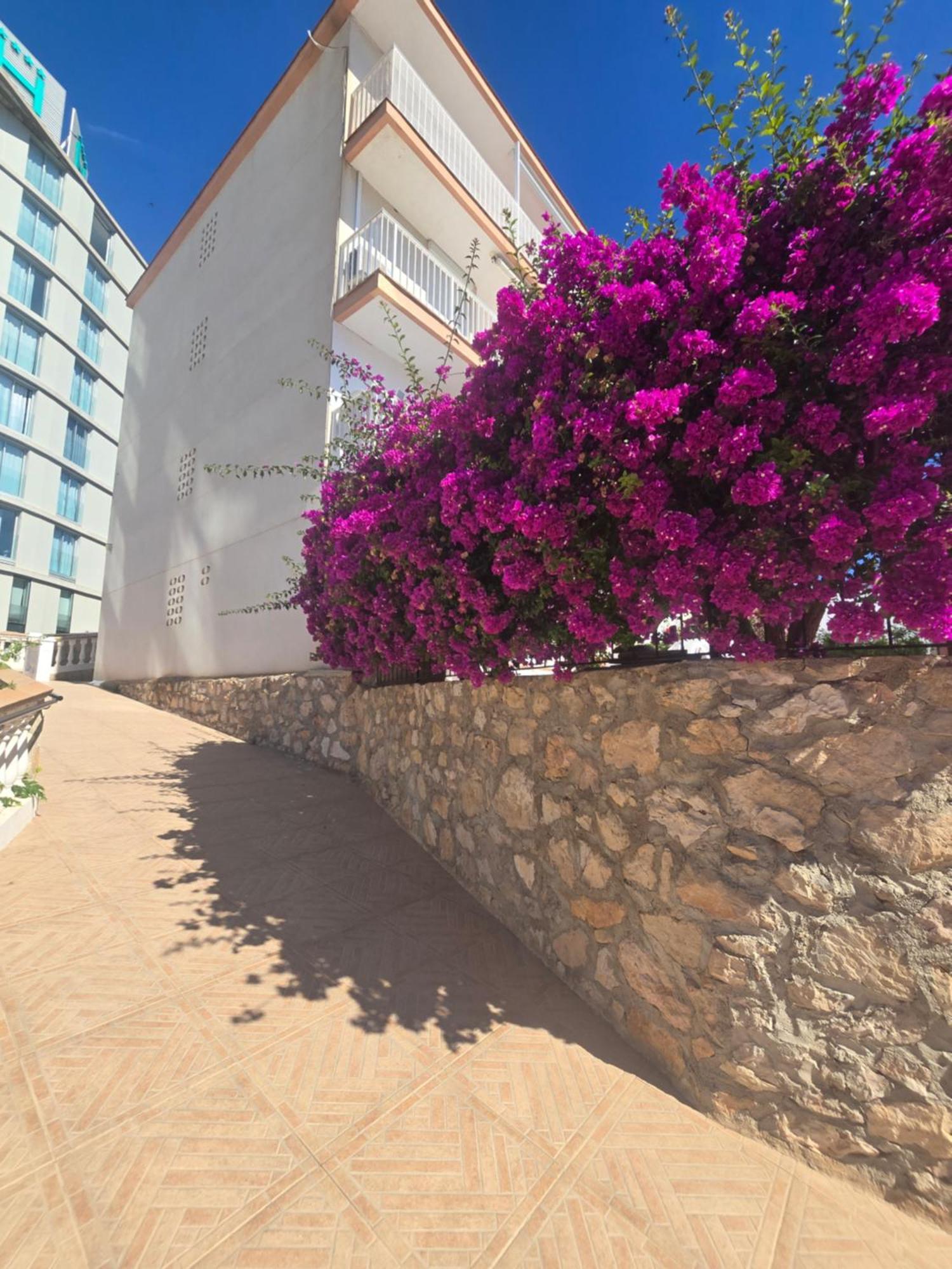 La Cantera Appartement Playa Peñíscola 外观 照片